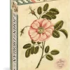 Övriga Artisan Puzzles: John Derian - Garden Rose (1000)