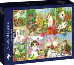 Bluebird Puzzle : Cats and Kittens (1000)