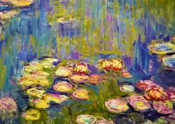 Bluebird Puzzle : Claude Monet - Nymphéas (1000)