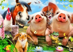Bluebird Puzzle : Petting Farm (500)