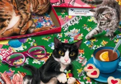Bluebird Puzzle : Puzzle Cats (1000)
