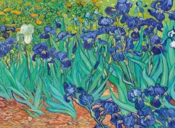 Bluebird Puzzle : Vincent Van Gogh - Irises, 1889 (3000)
