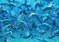Cheatwell : Double Trouble - Dolphins (500)