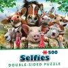 Cheatwell : Double Trouble, Selfies - Farm (500)