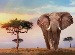 Clementoni : African Sunset (500)