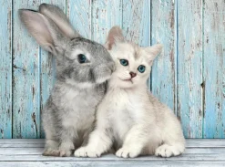 Clementoni : Cat & Bunny (500)