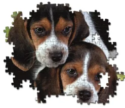 Clementoni : Close Together (500)