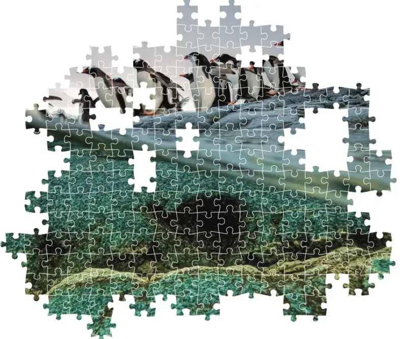 Clementoni : National Geographics - Gentoo Penguins (1000)