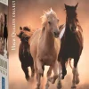 Clementoni : Running Horses (1000)