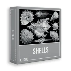 Cloudberries - Shells (1000)