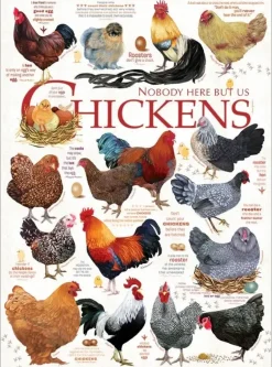 Cobble Hill : Chicken Quotes (1000)