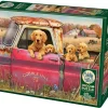 Cobble Hill : Farm (1000)