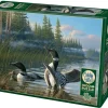 Cobble Hill : Common Loons (1000)
