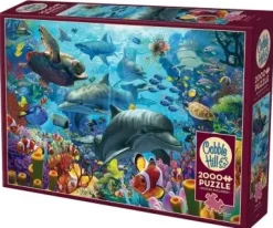 Cobble Hill : Coral Sea (2000)