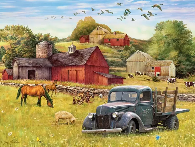 Cobble Hill : Easy Handling - Summer Afternoon on the Farm (275)