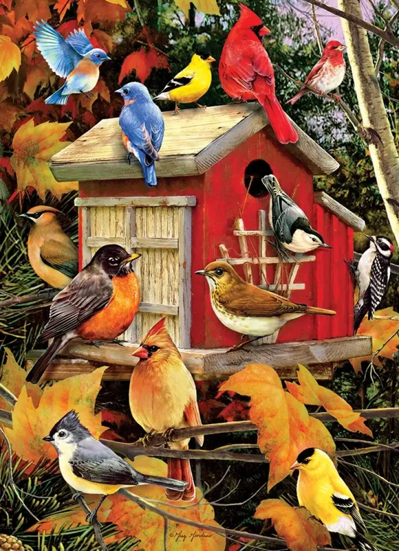 Cobble Hill : Fall Birdhouse (500)