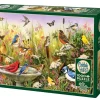 Cobble Hill : Feathered Friends (1000)