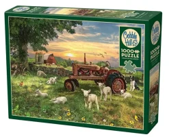 Cobble Hill : Field at Sunrise (1000)