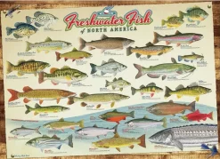 Cobble Hill : Freshwater Fish of North America (1000)