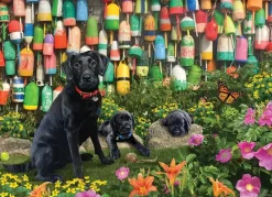 Cobble Hill : Good Buoys (500)