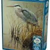 Cobble Hill : Great Blue Heron (500)
