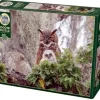 Cobble Hill : Great Horned Owl (1000)