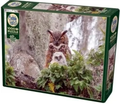 Cobble Hill : Great Horned Owl (1000)