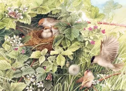 Cobble Hill : Hidden Nest (1000)
