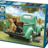 Cobble Hill : Let's Go Fishing (500)