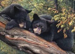 Cobble Hill : Mom's Awaiting (1000)