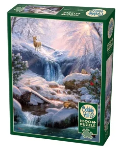 Cobble Hill : Mystic Falls in Winter (1000)