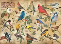 Cobble Hill : Popular Backyard Wild Birds of North America (1000)