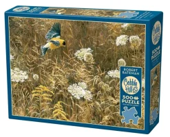 Cobble Hill : Queen Anne's Lace and American Goldfinch (500)