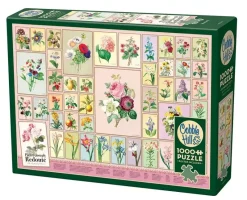 Cobble Hill : Redoute (1000)