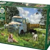 Cobble Hill : Sheep Field (1000)
