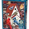 Cobble Hill : Winter Birdhouse (500)