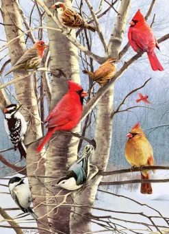 Cobble Hill : Winter Birds (1000)