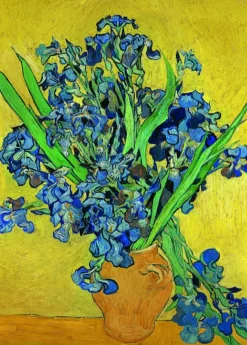 D-Toys : Vincent Van Gogh - Irises (1000)