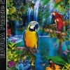 Educa : Bird Tropical Land (500)