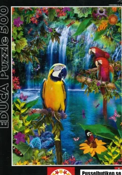 Educa : Bird Tropical Land (500)