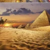 Educa : Camel in the Dessert (1000)