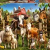 Educa : Farmyard Buddies (500)
