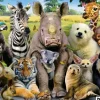 Educa : It's a Class Photo (1000)