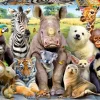 Educa : It's a Class Photo (300)