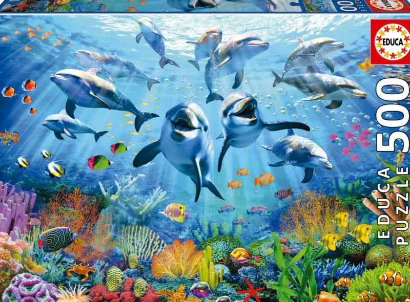 Educa : Party Under the Sea (500)