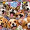 Educa : Puppies Selfie (1000)