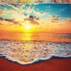 Educa : Sunset (1000)