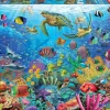 Educa : Tropical Fantasy Turtles (1000)
