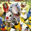 Educa : Watch the Birdie (500)