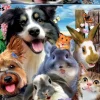 Educa : Yard Buddies Selfie (500)